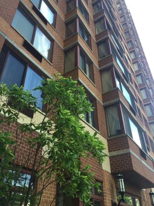 The Palisades Condo Fort Lee NJ-Luxury Living